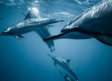 中国乒协公示教练员竞聘结果